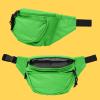 imageDALIX Fanny Pack w 3 Pockets Traveling Concealment Pouch Airport Money BagLime Green