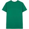 imageDALIX Classic Fit Soft Cotton Jersey Pre Shrunk T Shirt Mens TeeKelly Green