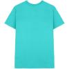 imageDALIX Classic Fit Soft Cotton Jersey Pre Shrunk T Shirt Mens TeeTeal