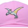 imageDALIX Peter The Pterodactyl Dinosaur Childrens Hat Baseball Cap Girls BoysPink