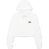 imageDALIX Rainbow Embroidered Fleece Cropped Hoodie Cold Fall Winter WomenWhite