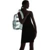 imageDALIX Clear Backpack Bags Smooth Plastic Transparent See Through Turtle GreenLight Gray