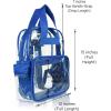 imageDALIX Clear Backpack Bags Smooth Plastic Transparent See Through Turtle GreenRoyal Blue