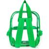 imageDALIX Clear Backpack Bags Smooth Plastic Transparent See Through Turtle GreenTurtle Green