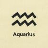imageDALIX Zodiac Sign Shopping Tote Bag Black Star Horoscope Gifts  VirgoAquarius