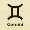 imageDALIX Zodiac Sign Shopping Tote Bag Black Star Horoscope Gifts  VirgoGemini