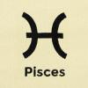 imageDALIX Zodiac Sign Shopping Tote Bag Black Star Horoscope Gifts  VirgoPisces