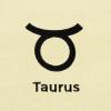 imageDALIX Zodiac Sign Shopping Tote Bag Black Star Horoscope Gifts  VirgoTaurus