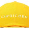 imageDALIX Capricorn Dad Hat Embroidered Zodiac Astrology Cotton Baseball CapGold