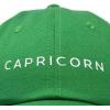 imageDALIX Capricorn Dad Hat Embroidered Zodiac Astrology Cotton Baseball CapKelly Green