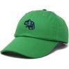 imageDALIX Chameleon Cap Embroidered Mens Cotton Dad Hat Baseball HatKelly Green