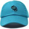 imageDALIX Chameleon Cap Embroidered Mens Cotton Dad Hat Baseball HatTeal