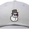 imageDALIX Embroidered Frosty Life Baseball Dad CapGray