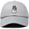 imageDALIX Embroidered Frosty Life Baseball Dad CapGray