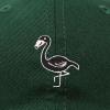 imageDALIX Black Flamingo Womens Dad Hat Baseball Cap EmbroideredDark Green