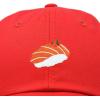 imageDALIX Salmon Nigiri Embroidered Sushi Cotton Dad Hat Baseball Cap Adjustable WomensRed