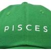 image:imageDALIX Pisces Dad Hat Embroidered Zodiac Astrology Cotton Baseball CapKelly Green