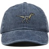 Washed Navy Blue