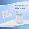 imageFebreze Wax Melts Air Freshener and Odor Fighter for Strong Odor Gain Original Scent 4 Pack 6 Cubes Each275 Ounce Pack of 1