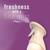 imageFebreze Air Mist Air Freshener Spray OdorFighting Room Spray Air Fresheners for Home and Bathroom and Kitchen Aerosol Can Cuddle Weather Scent 88oz 1 Count