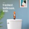 imageFebreze Air Mist Air Freshener Spray OdorFighting Room Spray Air Fresheners for Home and Bathroom and Kitchen Aerosol Can Pumpkin Roll Scent 88oz 2 Count