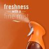 imageFebreze Air Mist Air Freshener Spray OdorFighting Room Spray Air Fresheners for Home and Bathroom and Kitchen Aerosol Can Pumpkin Roll Scent 88oz 2 Count