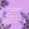 imageFebreze Air Mist Air Freshener Spray OdorFighting Room Spray Air Fresheners for Home and Bathroom and Kitchen Aerosol Can Southen Lilac Mornings Scent 88oz 3 Count1 Count Pack of 1