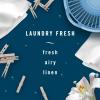 imageFebreze Car Air Freshener Vent Clip Laundry Fresh Scent 07 oz Car Vent Clip Pack of 4Laundry Fresh