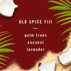 imageFebreze Car Air Freshener Vent Clip Old Spice Fiji Scent 07 oz Car Vent Clip Pack of 4028 Fl Oz Pack of 1