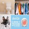 imageFebreze Small Spaces Air Freshener Wild Berries Odor Eliminator for Strong Odors Pack of 61 Count Pack of 1
