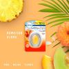 imageFebreze Small Spaces Air Freshener Wild Berries Odor Eliminator for Strong Odors Pack of 61 Count Pack of 1