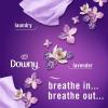 imageFebreze FABRIC Downy Calm ampamp Febreze Heavy Duty Carpet Rainforest Breeze 169oz 2 pack