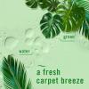 imageFebreze FABRIC Downy Calm ampamp Febreze Heavy Duty Carpet Rainforest Breeze 169oz 2 pack