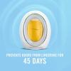 imageFebreze SMALL SPACES Fresh 3 count1 Count Pack of 1