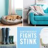 imageFebreze PLUG Linen ampamp Sky Starter Kit ampamp 2 87 fl oz Refills087 Fl Oz Pack of 2