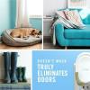 imageFebreze PLUG Linen ampamp Sky Starter Kit ampamp 2 87 fl oz Refills088 Fl Oz Pack of 2