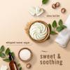 imageFebreze OdorFighting Fade Defy PLUG Air Freshener Refresh and Energize Soothe and Restore Pack of 4 2 of Each 79 fl oz Oil Refill