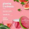 imageFebreze Scented Candle Ocean Scent 11 oz 4 Wick Candle Single PackSweet Watermelon Vine