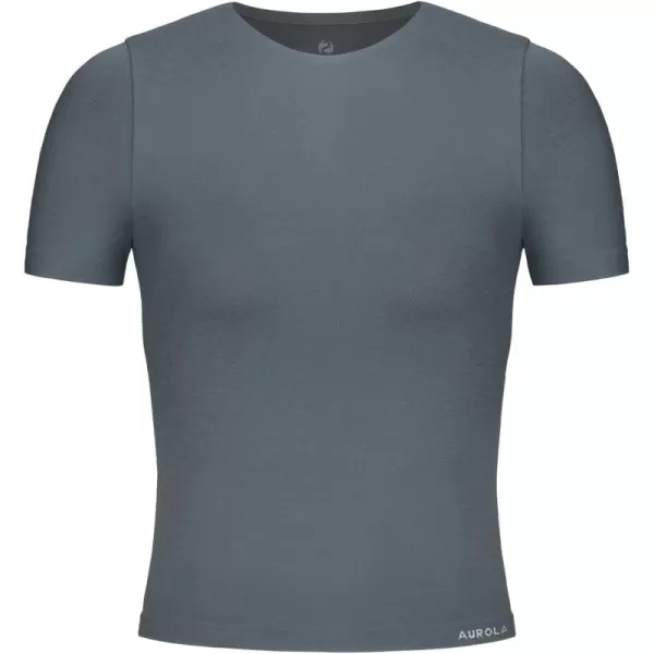 AUROLA Women Essentials Seamless Short Sleeve Fitted Tshirt Gym Workout Athletic Shirts Top Tee