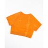 imageAUROLA Serpent Snake Seamless Workout TShirts for WomenShort Sleeve Crop Top Gym Yoga Athletic Shirts TeePersimmon Orange