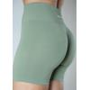 imageAUROLA Intensify Workout Shorts for Women Seamless Scrunch Short Gym Yoga Running Sport Active Exercise Fitness ShortsIceberg Green
