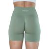 imageAUROLA Intensify Workout Shorts for Women Seamless Scrunch Short Gym Yoga Running Sport Active Exercise Fitness ShortsIceberg Green